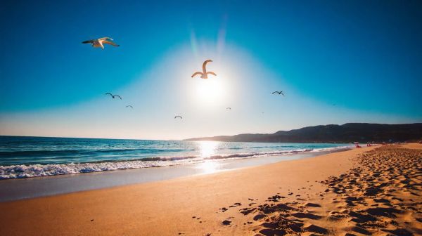 Les trésors de la plage de La Nartelle à Sainte-Maxime